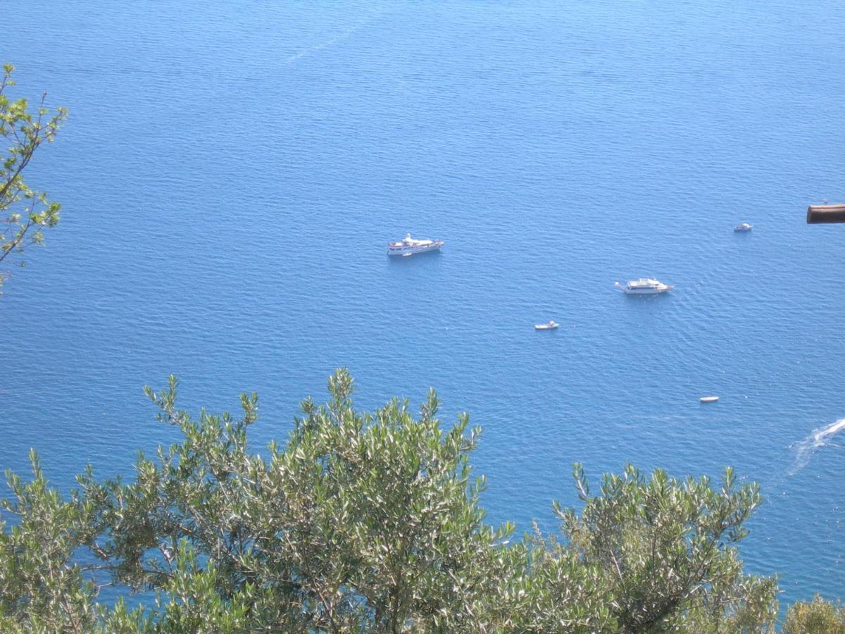 Fattoria La Tagliata Bed & Breakfast Positano Exterior photo