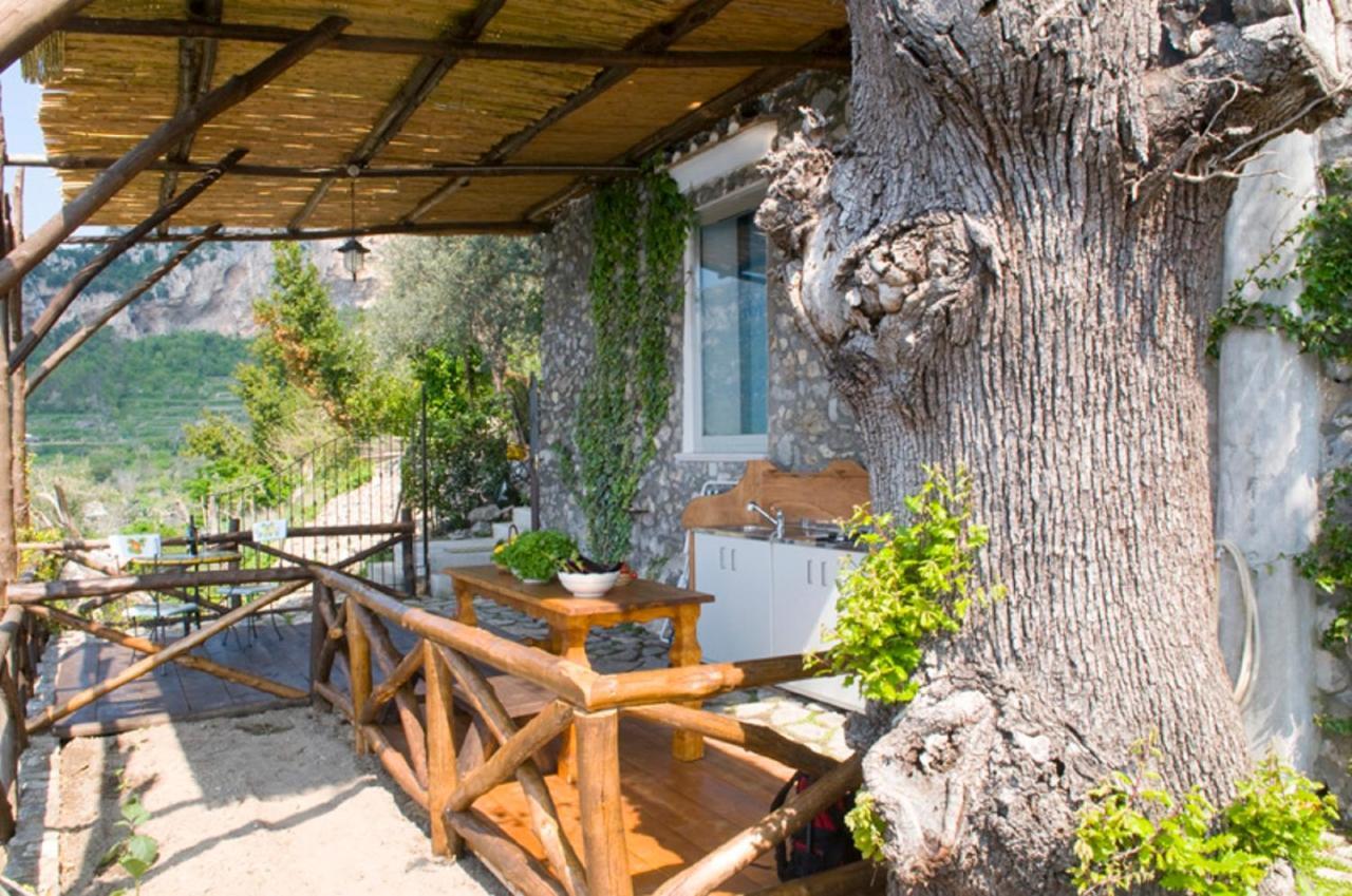 Fattoria La Tagliata Bed & Breakfast Positano Exterior photo